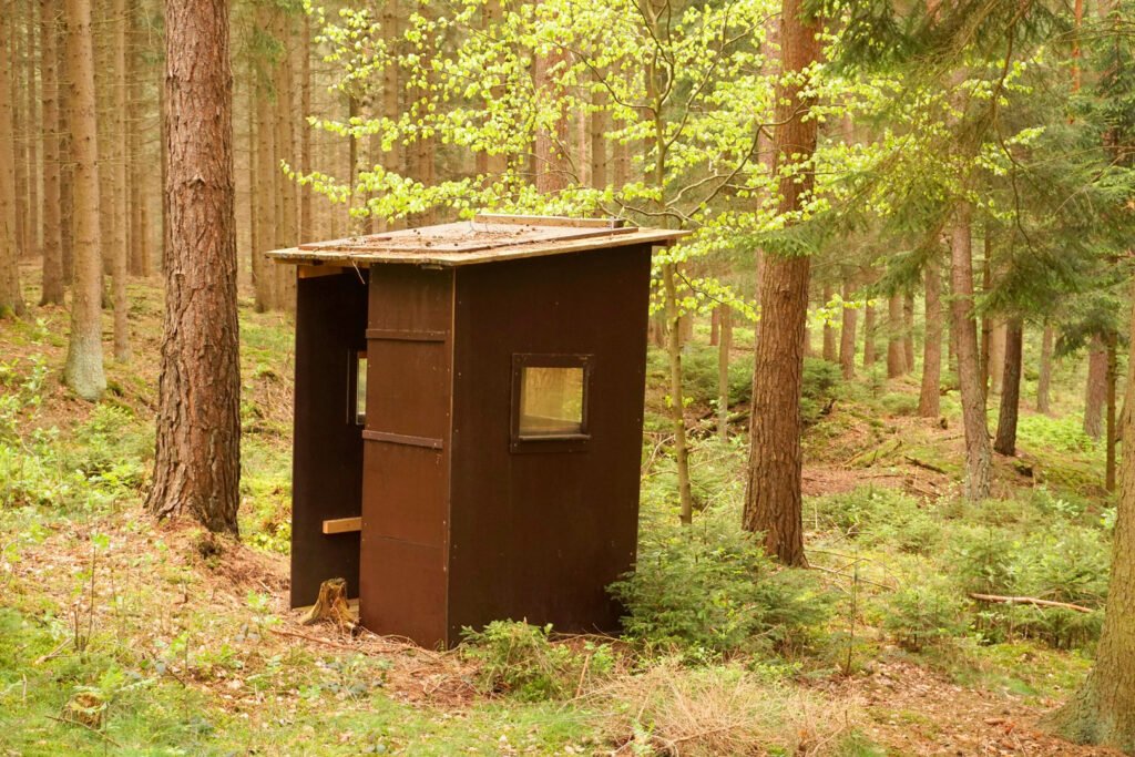 Kai Schreiber. Sin título. 2020. Fotografía análoga.